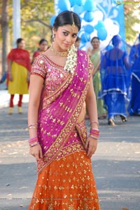 Beautiful Shriya draped in a Saree