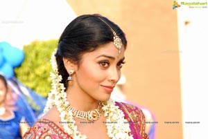 Beautiful Shriya draped in a Saree