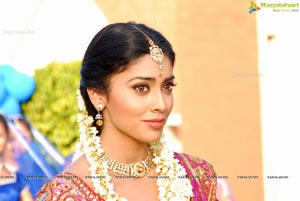 Beautiful Shriya draped in a Saree