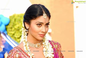 Beautiful Shriya draped in a Saree