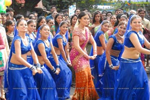 Beautiful Shriya draped in a Saree