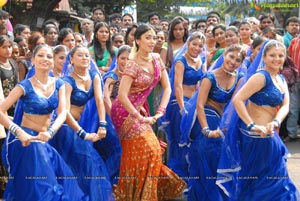 Beautiful Shriya draped in a Saree