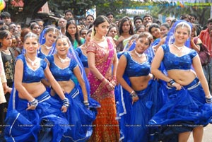 Beautiful Shriya draped in a Saree