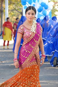 Beautiful Shriya draped in a Saree