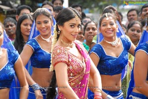 Beautiful Shriya draped in a Saree