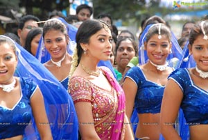 Beautiful Shriya draped in a Saree