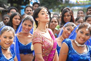 Beautiful Shriya draped in a Saree