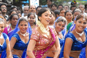 Beautiful Shriya draped in a Saree