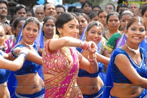 Beautiful Shriya draped in a Saree