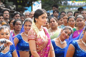 Beautiful Shriya draped in a Saree