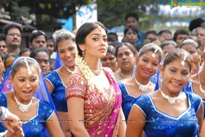 Beautiful Shriya draped in a Saree