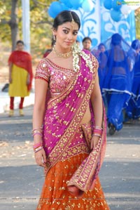 Beautiful Shriya draped in a Saree