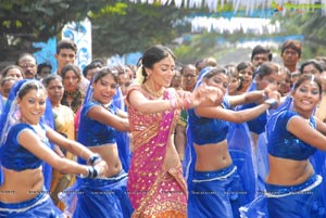 Beautiful Shriya draped in a Saree