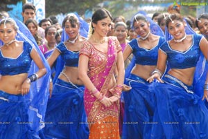 Beautiful Shriya draped in a Saree