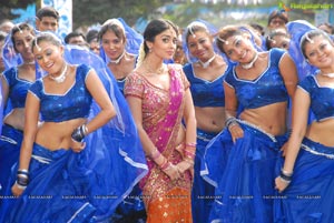 Beautiful Shriya draped in a Saree