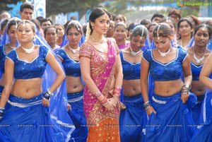 Beautiful Shriya draped in a Saree