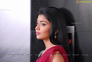 Beautiful Shriya draped in a Saree