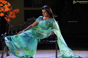 South Indian Heroine Tashu Kaushik in Saree