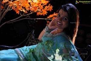 South Indian Heroine Tashu Kaushik in Saree