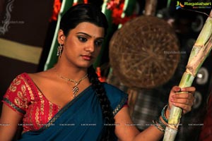 South Indian Heroine Tashu Kaushik in Saree