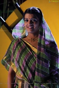 South Indian Heroine Tashu Kaushik in Saree