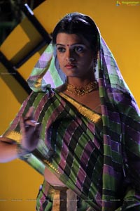South Indian Heroine Tashu Kaushik in Saree