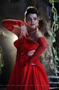 Tashu Kaushik Hot and Spicy Photos