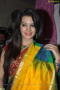 Diksha Panth at National Silk Expo 2013