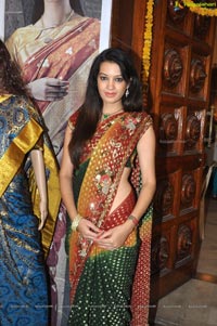Diksha Panth at National Silk Expo 2013