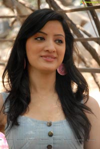 Indian Actress Richa Panai