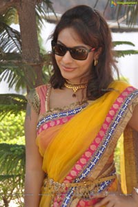 Srilekha Reddy Mallidi in Saree