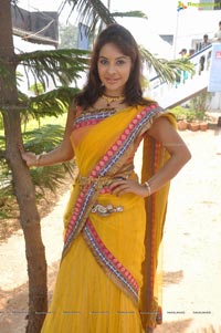 Srilekha Reddy Mallidi in Saree