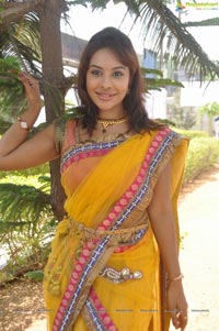 Srilekha Reddy Mallidi in Saree