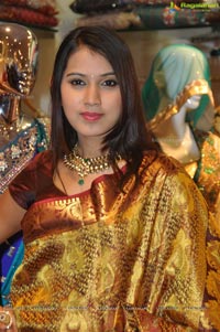 Hyderabad Model Honey