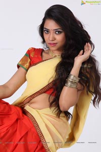 Anjali Singh in Indian Traditional Dress