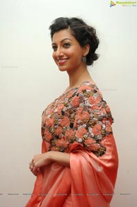 Hamsa Nandini Legend Audio