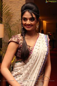 Nikitha Narayan in Half Saree