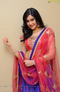 Telugu Actress Adah Sharma