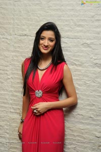 Telugu Actress Richa Panai