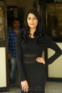 Anisha Ambrose