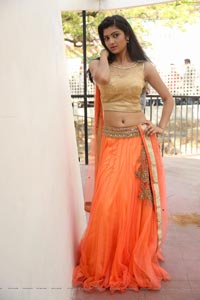 Pallavi Naidu Hot Photos