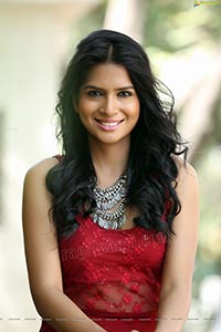 Abdul Sareena Hindi Actress