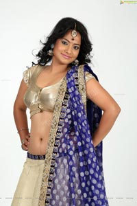 Saritha Sharma Half Saree