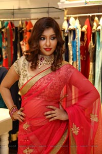 Payal Ghosh HQ Photos