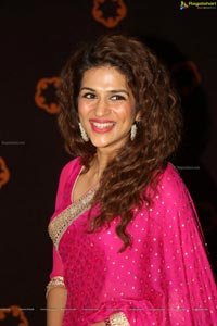 Shraddha Das HQ Photos