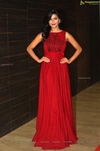 Anisha Ambrose