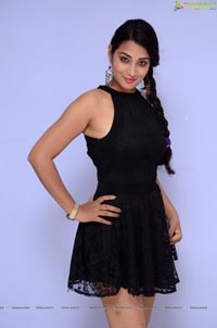 Bhanu Sri Telugu Heroine