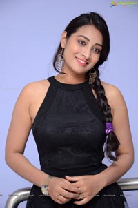 Bhanu Sri Telugu Heroine
