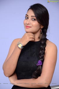 Bhanu Sri Telugu Heroine