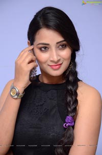 Bhanu Sri Telugu Heroine